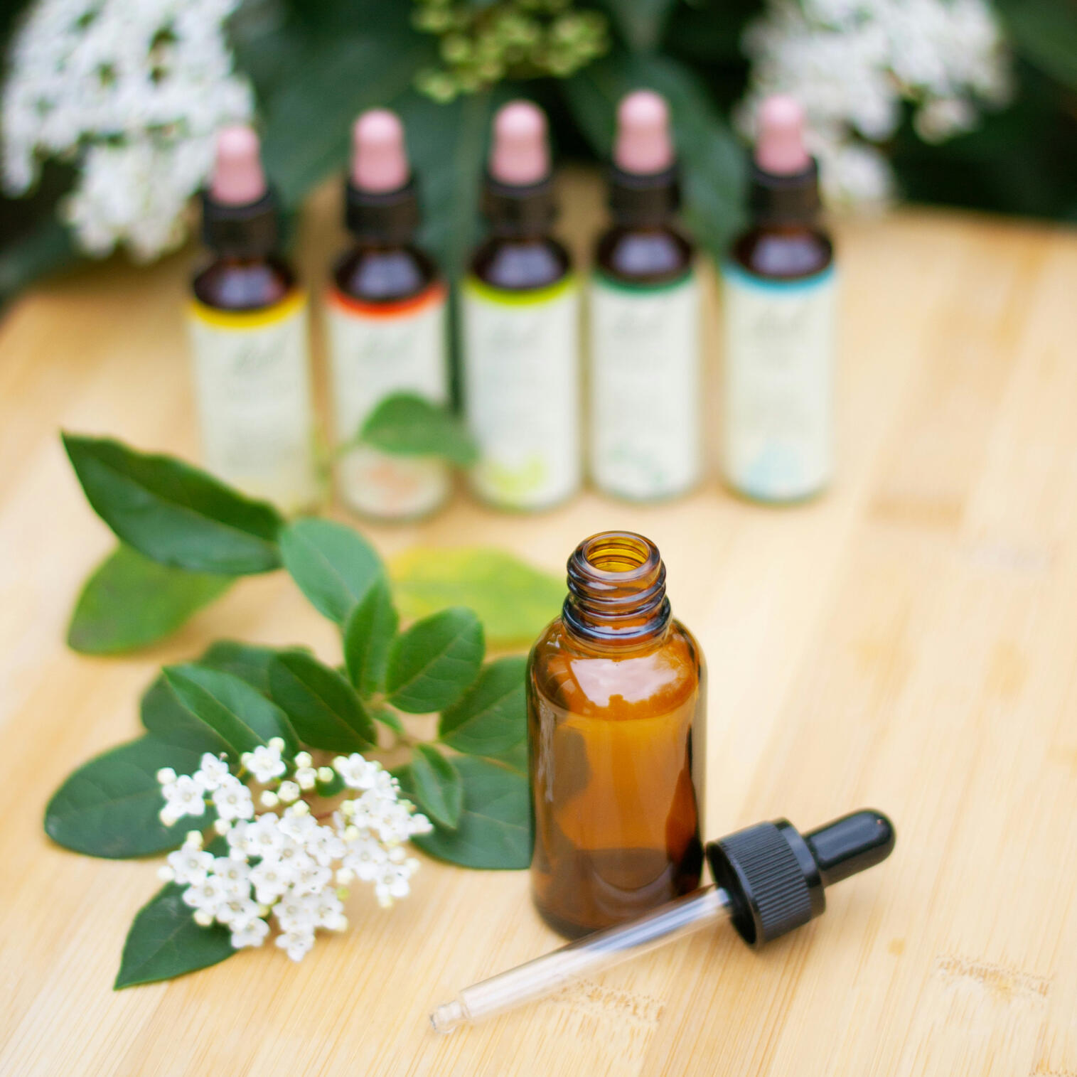 flores de bach en Barcelona